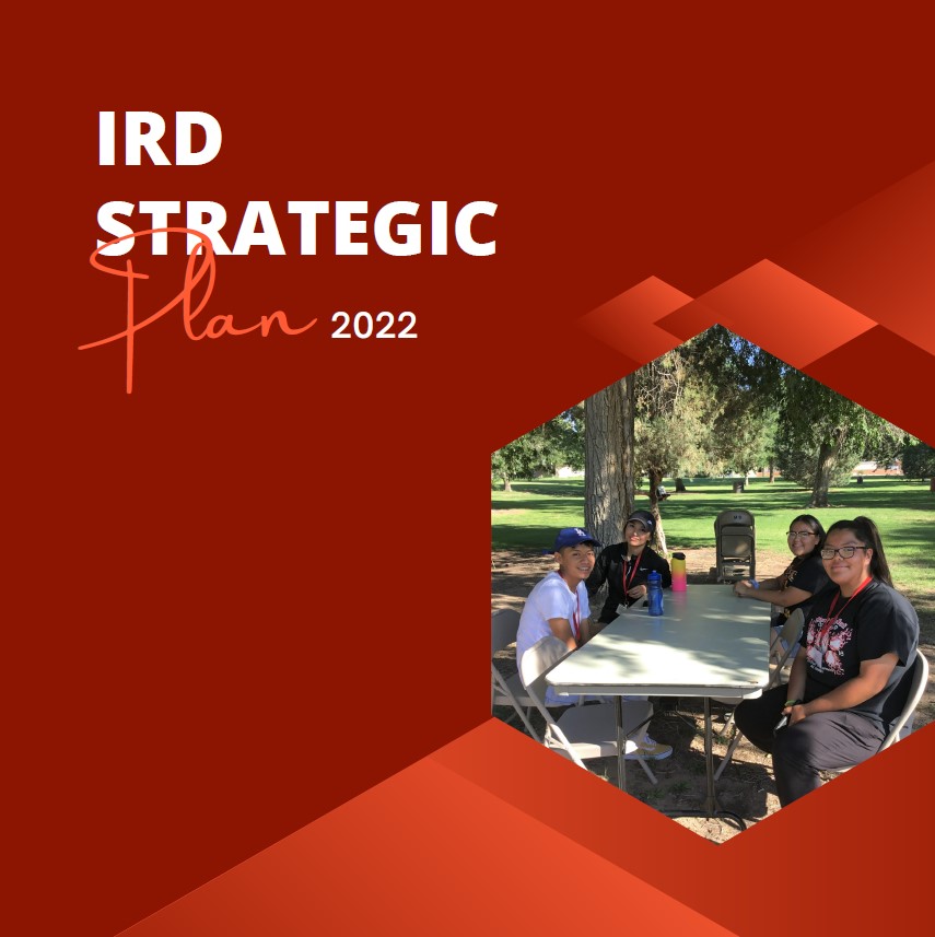 Front cover of IRD strategic plan