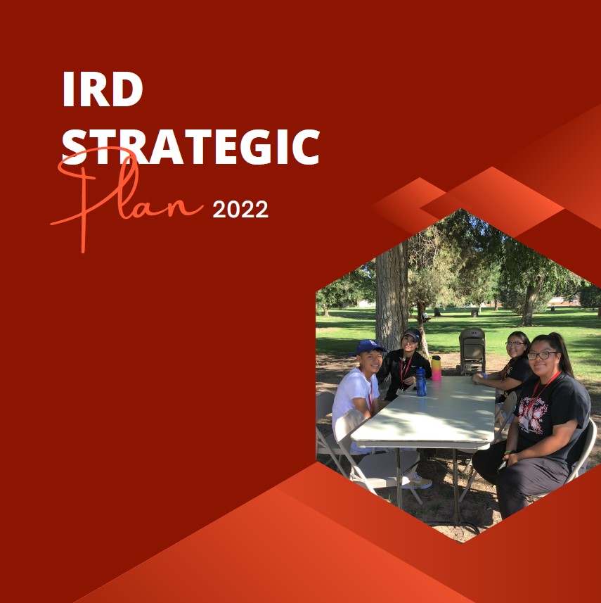 IRD Strategic Plan | New Mexico State University | BE BOLD. Shape the ...