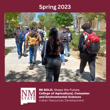 Image of Students Walking Campus